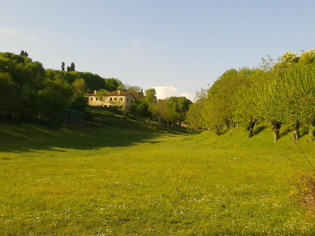 Bed and Breakfast Casale La Rocchetta à Lonigo Extérieur photo